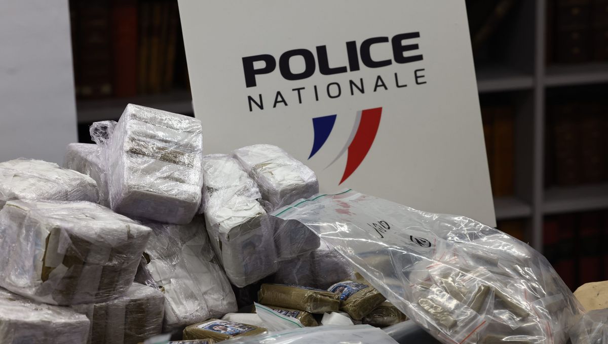 La drogue engloutit les familles : un marché de 6,8 milliards d&rsquo;euros menace la sécurité nationale